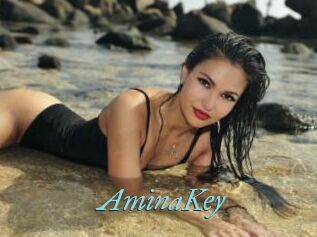 AminaKey