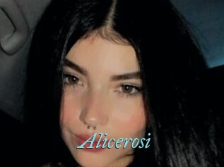 Alicerosi