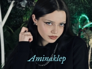 Aminaklep