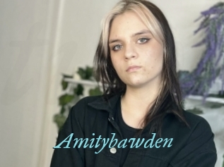 Amitybawden