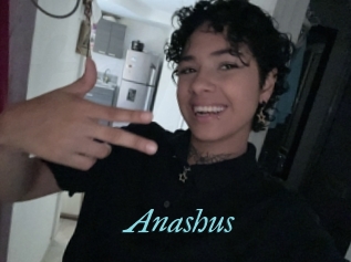 Anashus