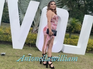 Antonellawilliam