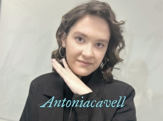 Antoniacavell