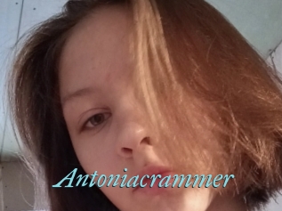 Antoniacrammer