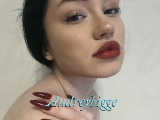 Audreybigge