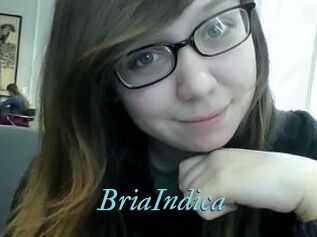 BriaIndica