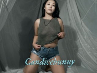 Candicebunny