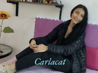 Carlacat