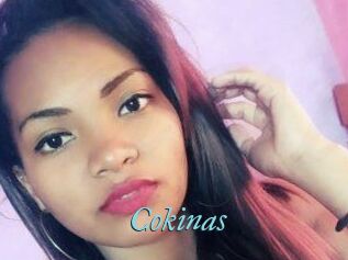 Cokinas