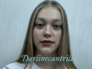 Darlinecantrill