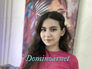 Dominoarnet