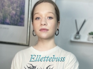 Ellettebuss