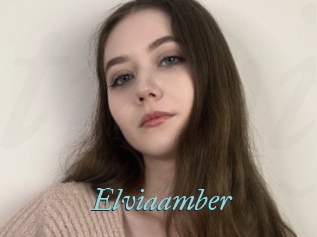 Elviaamber