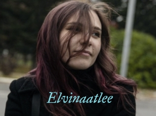 Elvinaatlee