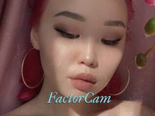 FactorCam