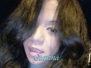 Gattina