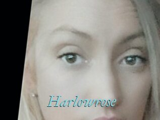 Harlowrose