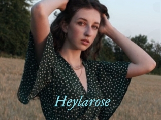 Heylarose