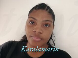 Karalamarin