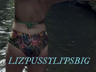 LIZPUSSYLIPSBIG