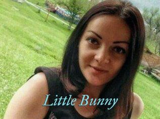 Little_Bunny_