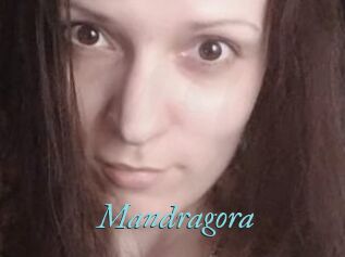 Mandragora