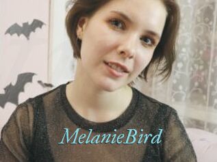 MelanieBird