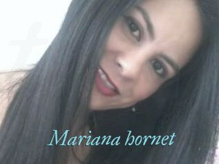 Mariana_hornet