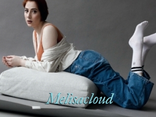 Melisacloud