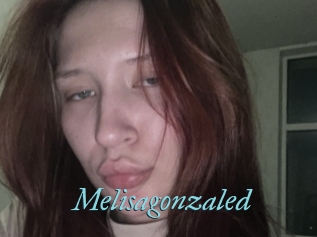 Melisagonzaled