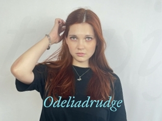 Odeliadrudge