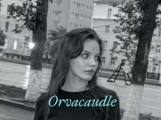 Orvacaudle