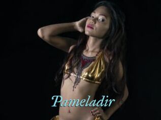 Pameladir