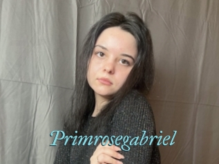 Primrosegabriel