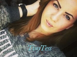 TinyTess