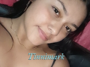 Tinnimark