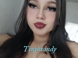 Tinybrandy