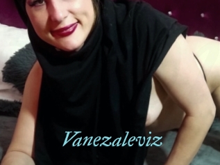 Vanezaleviz