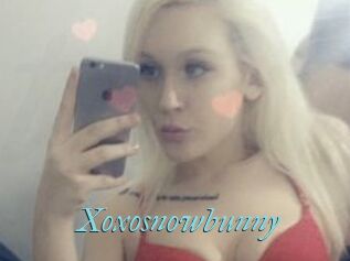 Xoxosnowbunny