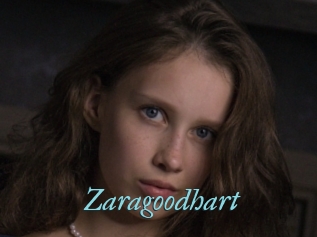 Zaragoodhart