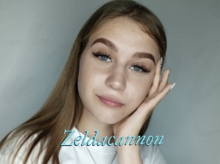 Zeldacannon